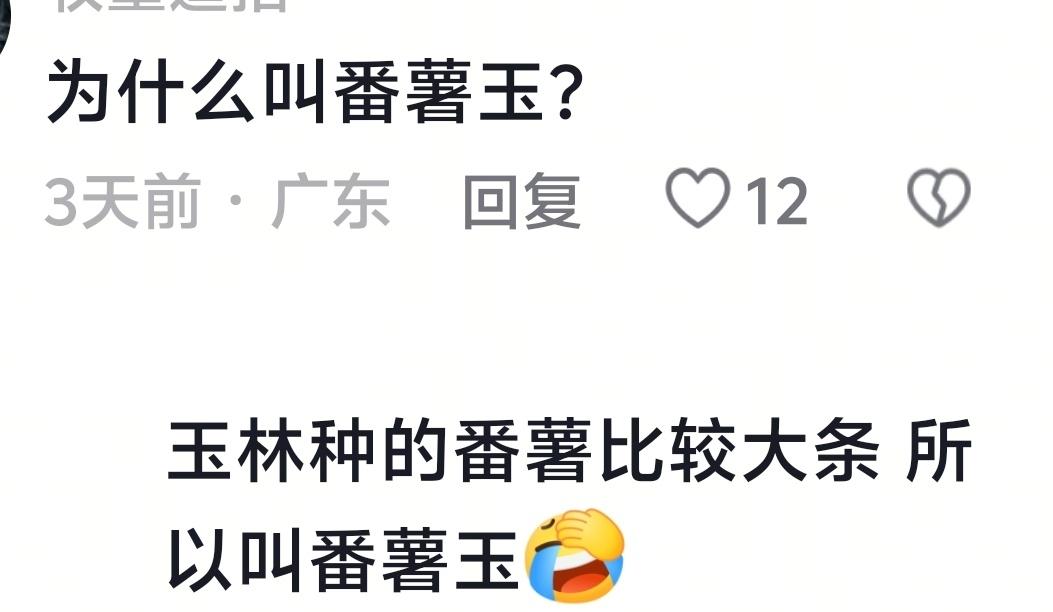 粤西够热闹了！阳江市代名词被人称呼为“刀🔪子阳”，因为阳江是世界刀业王国，世