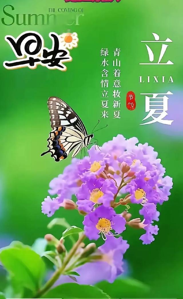 叮咚！您的夏日好运正在派送，请保持心情愉悦，准备签收～春日的遗憾，定会被夏日的