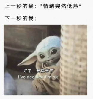 换来了无尽的嘲笑