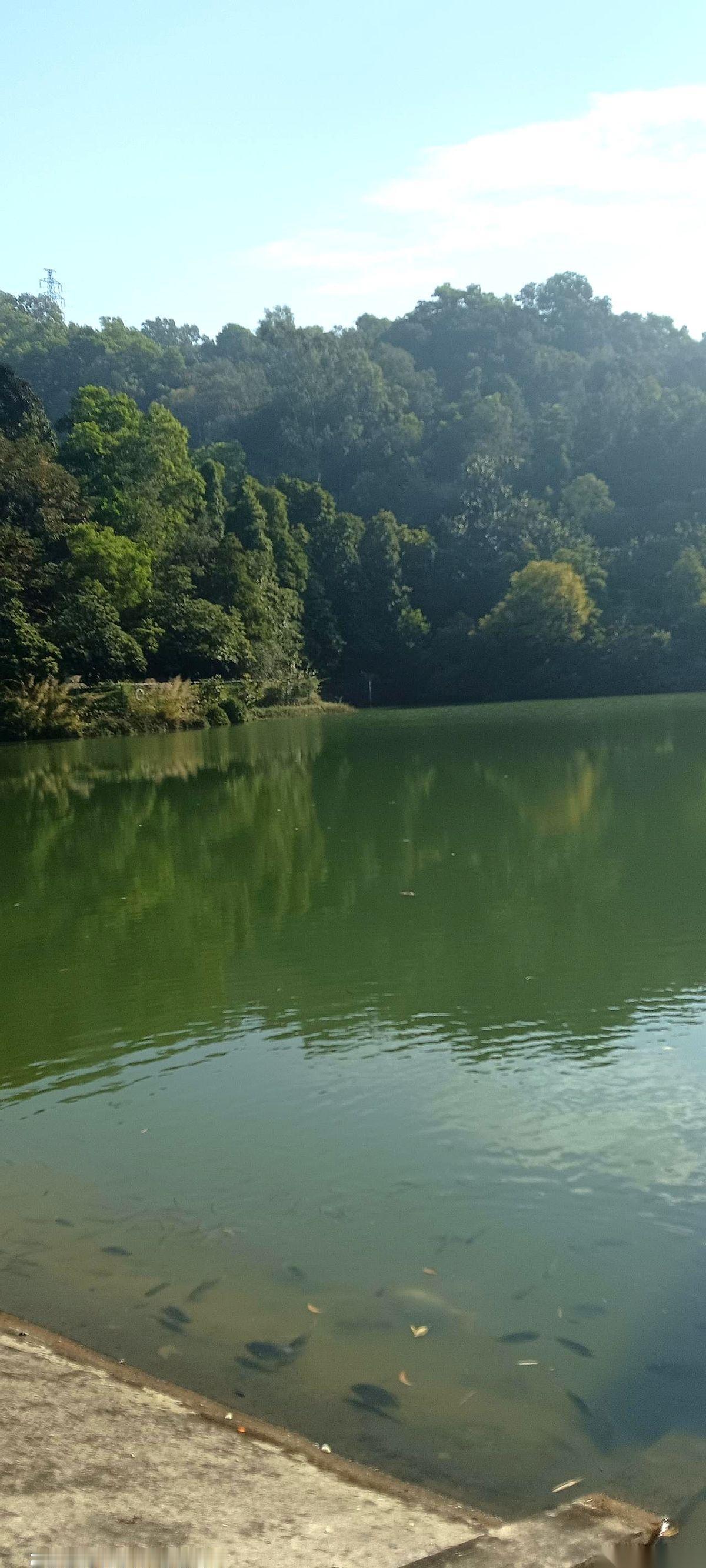 我退休3年，同事今年退。我俩社保都交15年，结果他退休金一上来就比我高了快两百