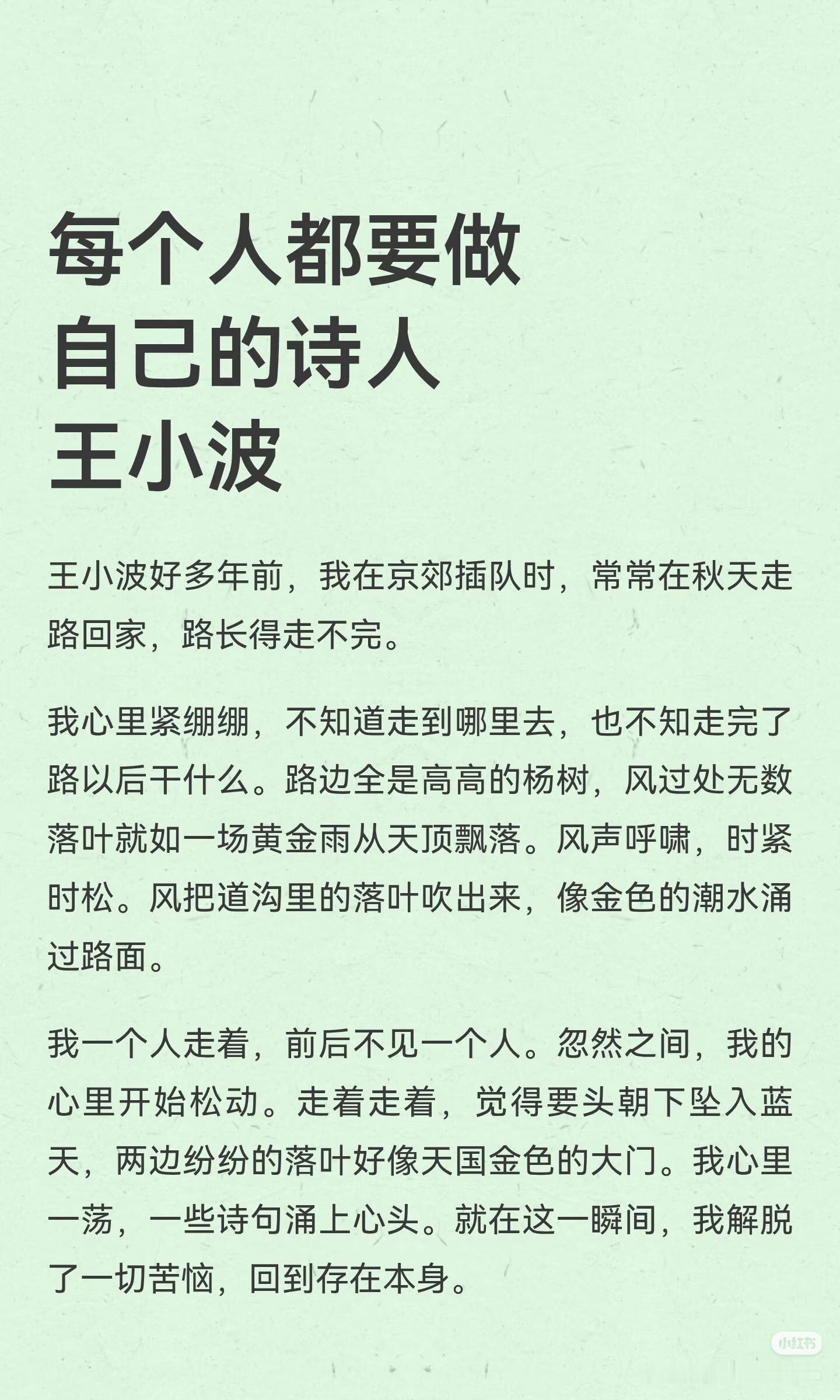 《每个人都要做自己的诗人》作者:王小波佳作推荐​​​
