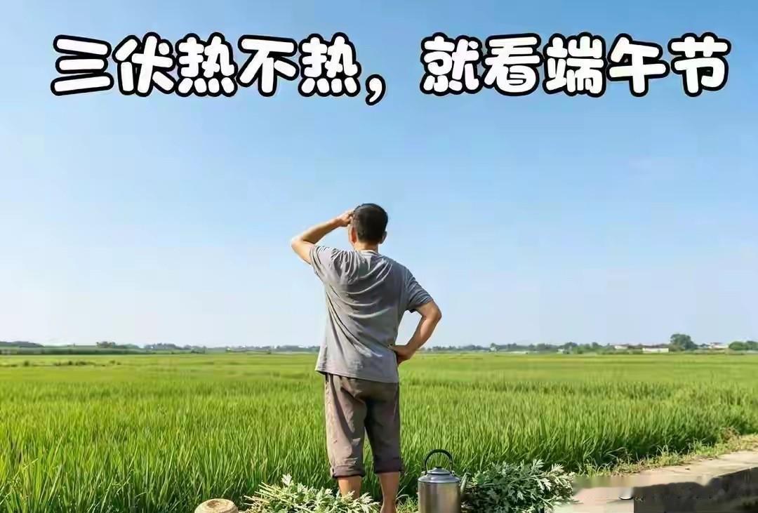 老话“三伏热不热，就看端午”，明日端午，今年三伏天会很热？老祖宗的经验藏答案