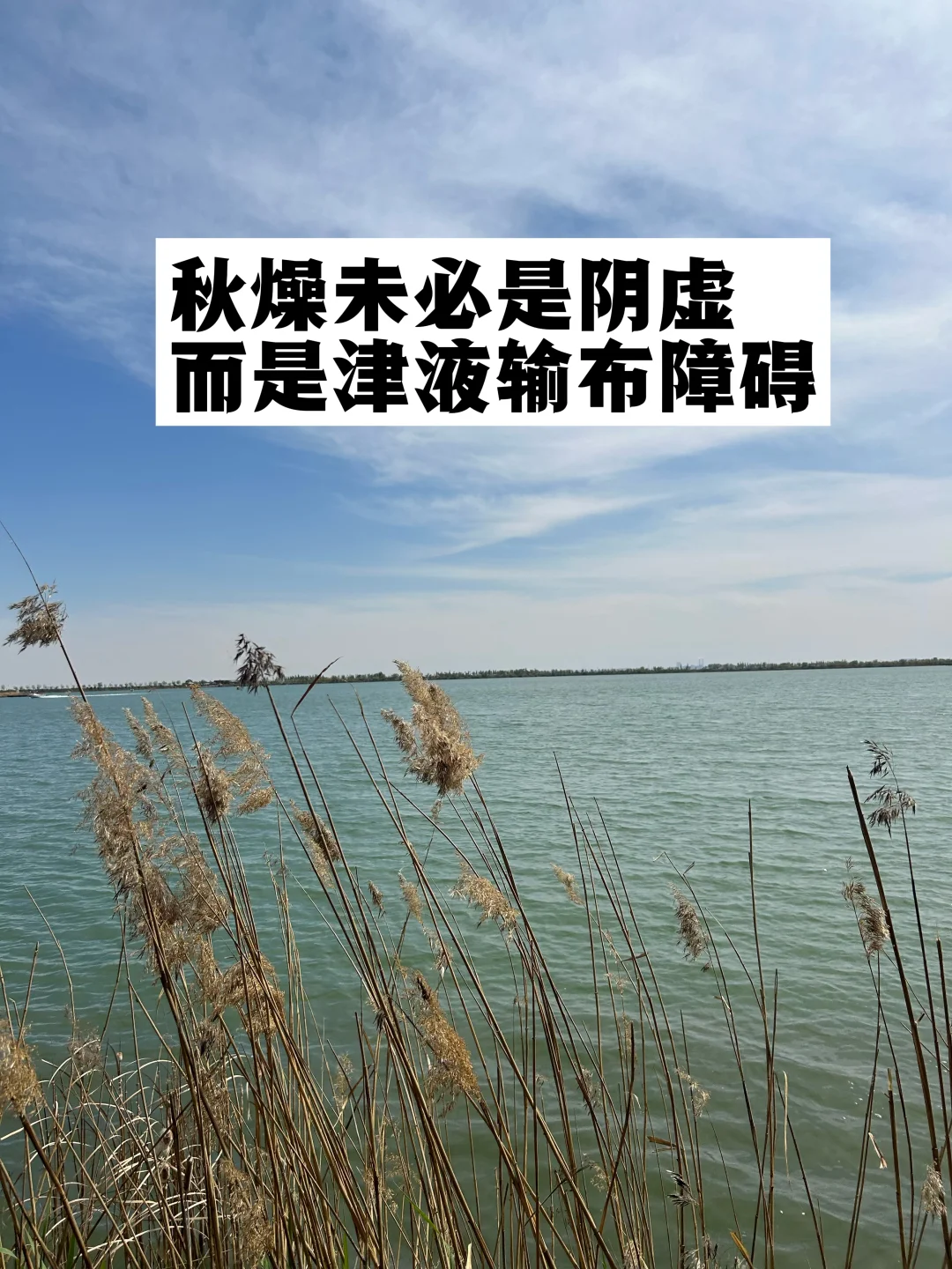 秋燥可能不是阴虚，而是津液输布障碍.