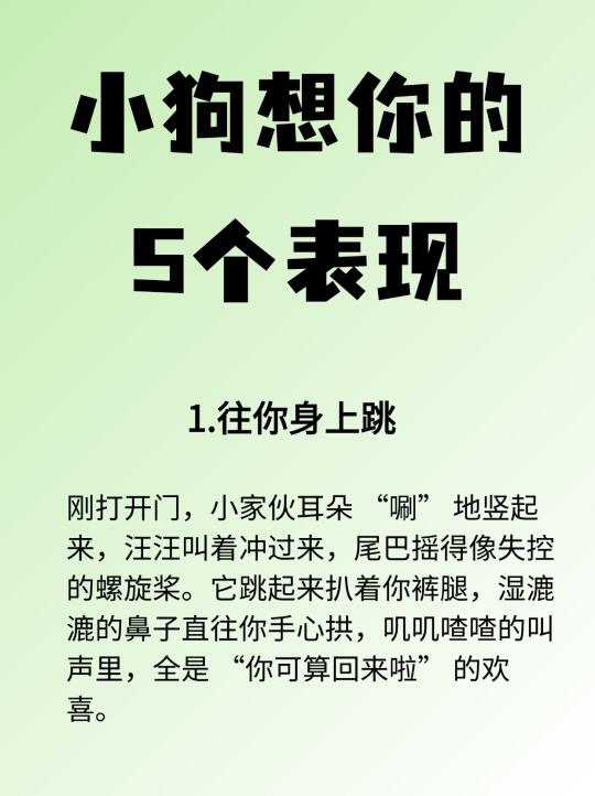 有一只狗狗真的很幸福！