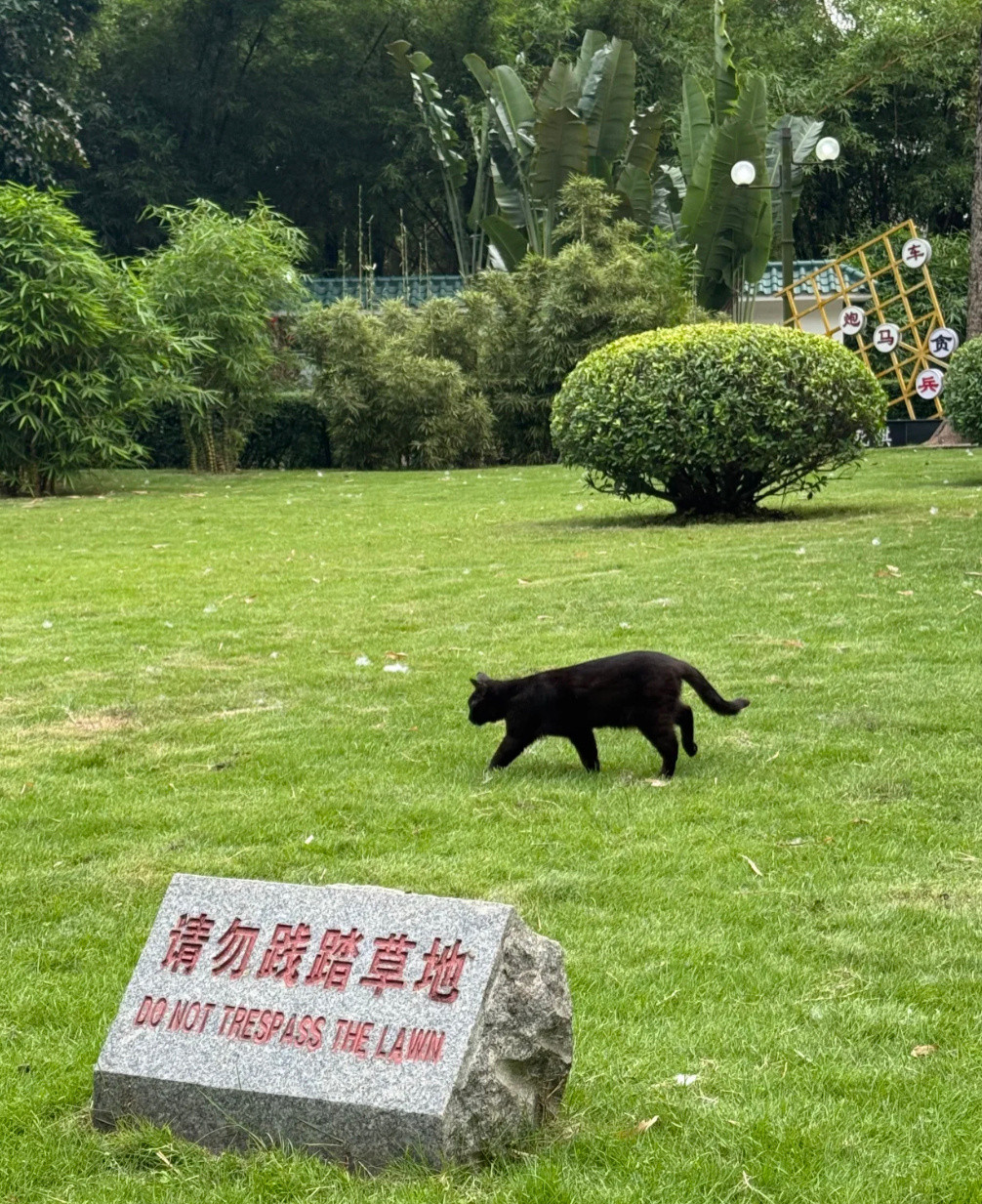 小猫吃了不识字的亏​​​
