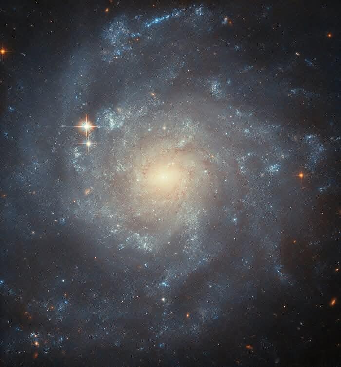 NASA/ESA哈勃太空望远镜以惊艳细节捕捉到的炫目螺旋星系NGC5668