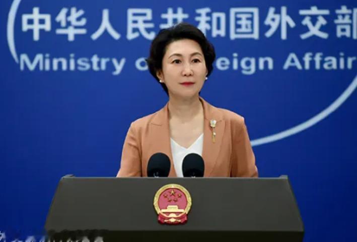 10月9日，外交部发言人毛宁在记者会上，用了一个极其罕见的外交措辞——“令人不齿