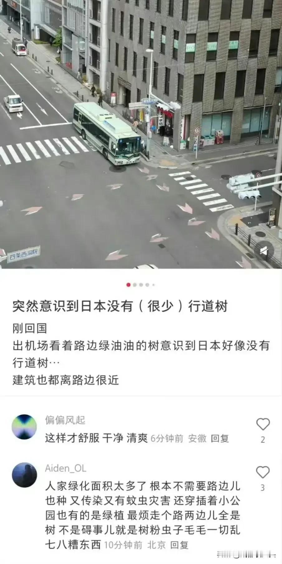 实在没想到，日本路边少有行道树居然也有人舔！事情的起因是一网友从日本回国，出