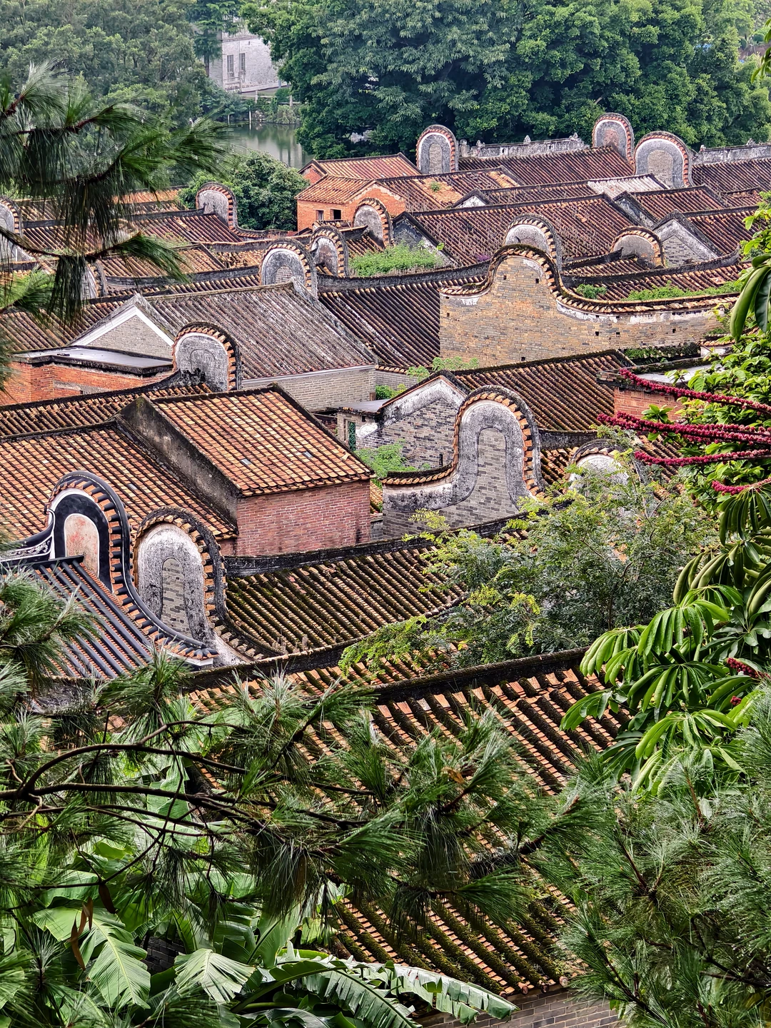 周末带爸妈游佛山~国家地理冷门古村被问爆