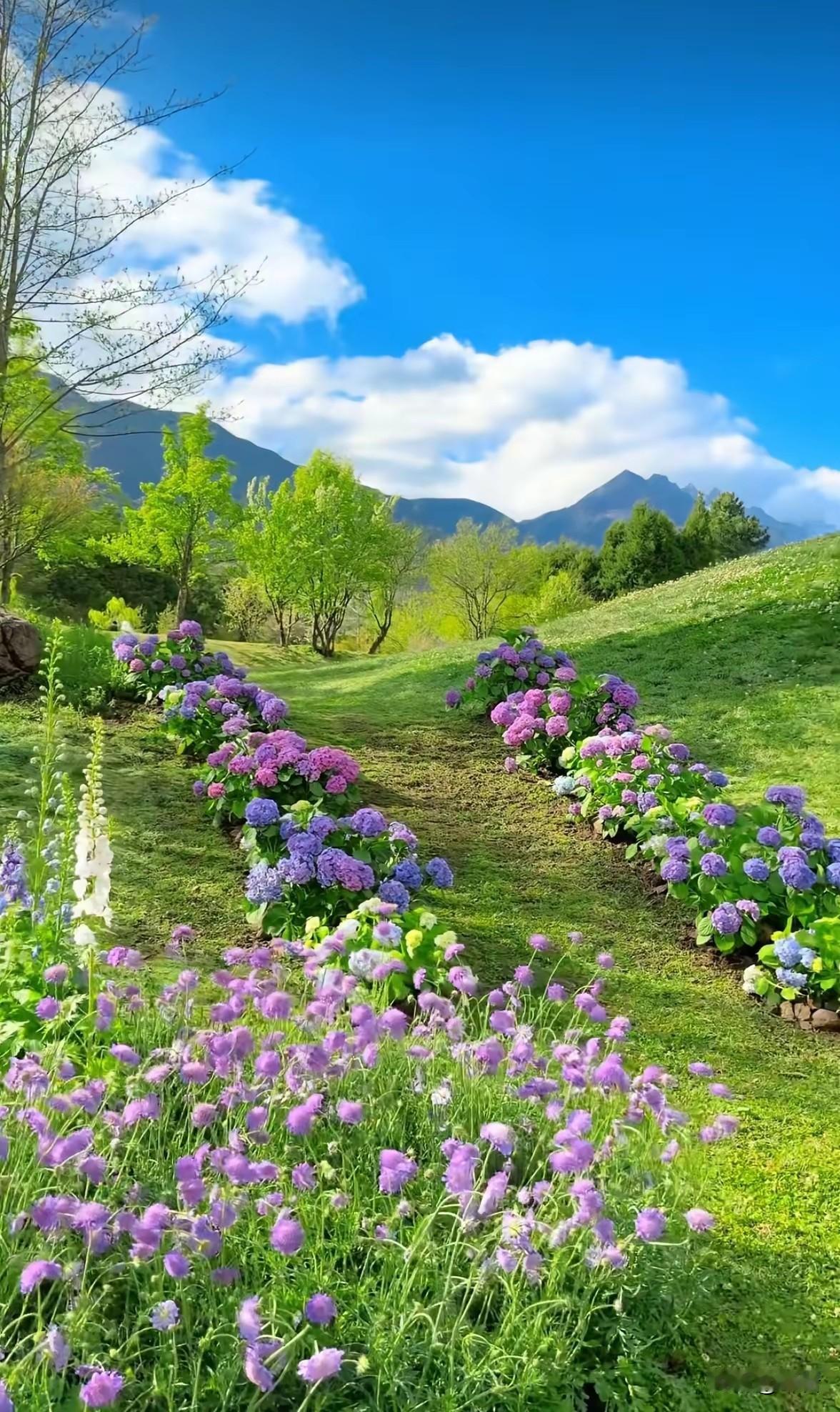 长辈给的几句实在话，受用终身1. 别总想着赢道理，要学会赢人心话赶话争到