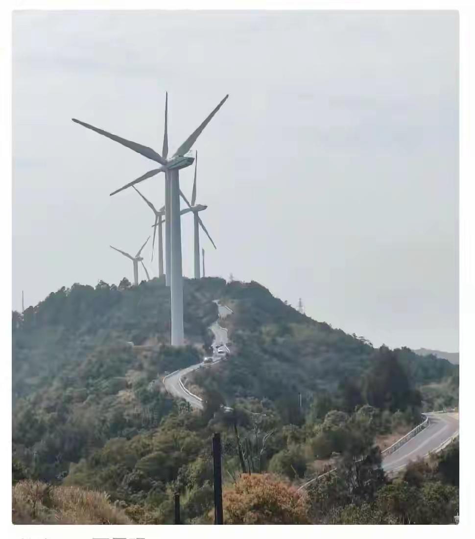 我叔叔这辈子，一天班没上过。可他大富大贵了一辈子。小时候看他天天捡好看的石头，结