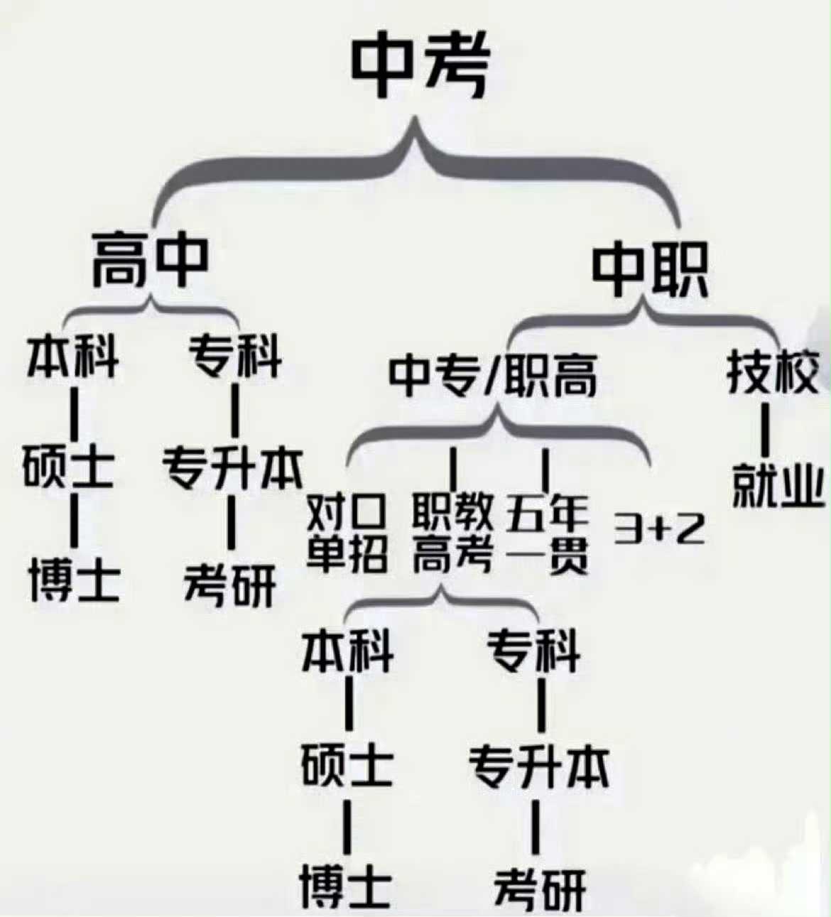 中考分流