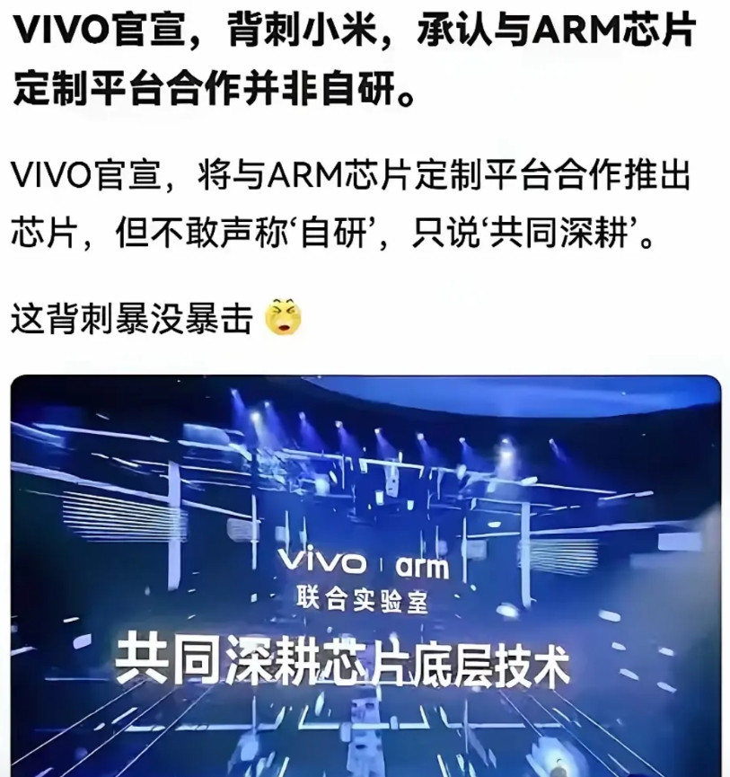 vivo官宣与ARM定制芯片嗯，现在懂了，按照“米田共”以往的操行，他家的芯片