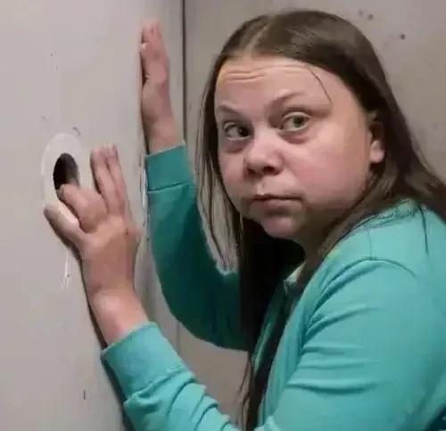 环保少女风头没了又去加沙现在环保少女的表演，真是让人看傻眼了！她以前