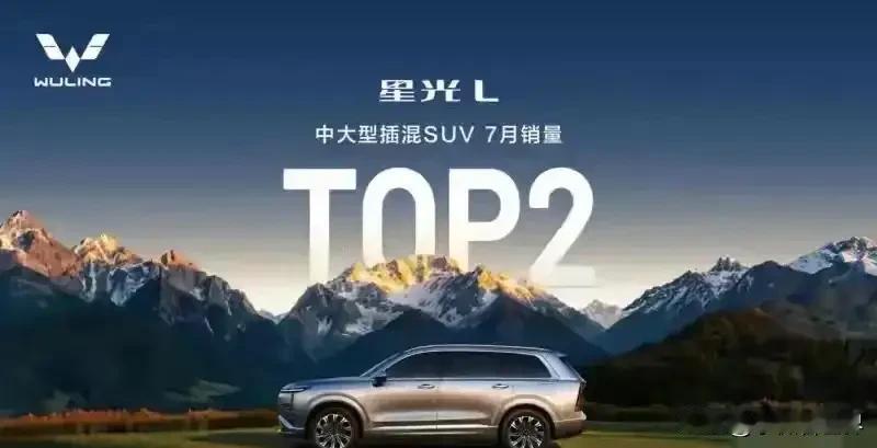 这世界变化快！李想想不到，余承东和雷军更万万想不到——8月销量新鲜出炉，五菱