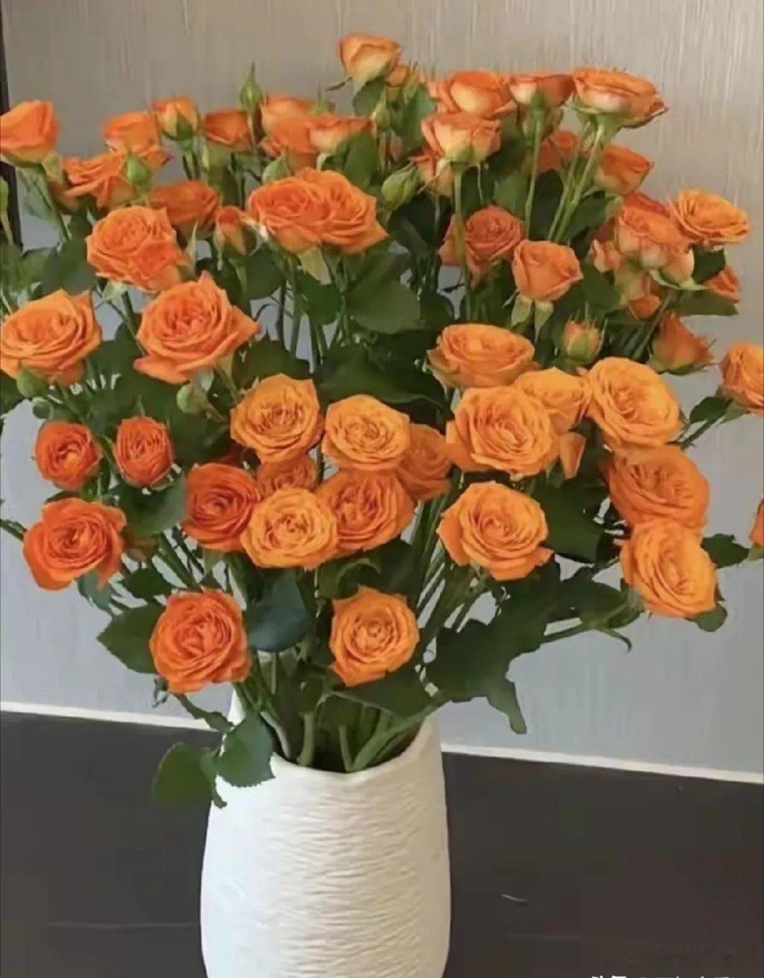炒股不要抱怨！我有个朋友，自从炒股后，发现他脾气变得越来越古怪，看什么都不顺眼，