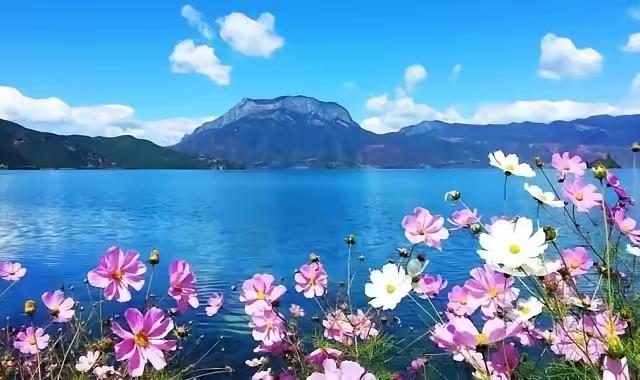 这次给云南导游点赞。团队游泸沽湖。导游说4点半必须回到车上。因为有晚餐、夜景、