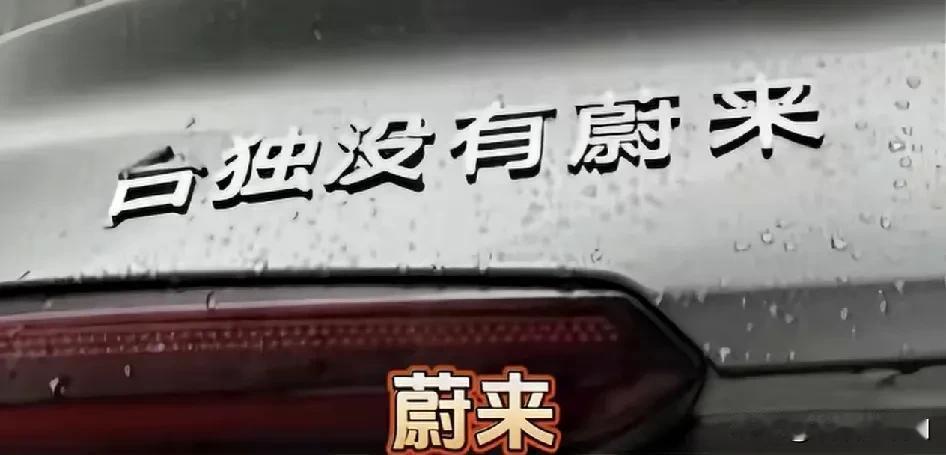 那些被玩坏的车标！台独没有蔚来。武状元SU7。打福特朗普。家业颇丰田有万