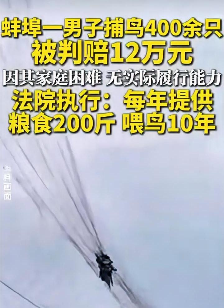 农民狩猎400多只鸟，被罚喂鸟10年，这样的法官请多多益善。蚌埠一农民用粘网