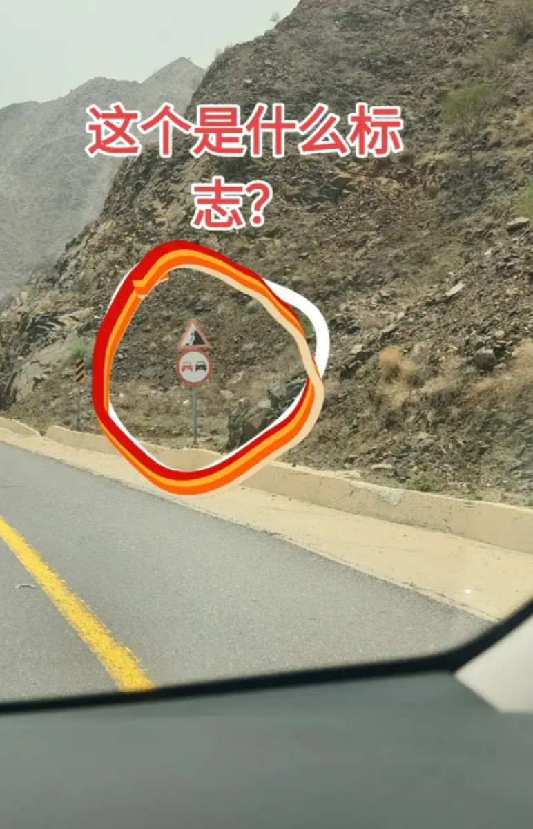 网友：开车十几年这标志第一次见，这是啥意思呀？老师傅们！谁懂呀？