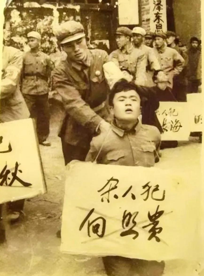 1969年的一天，因妹妹被强奸而怒杀公社书记的向照贵被五花大绑，押解到了公审大会