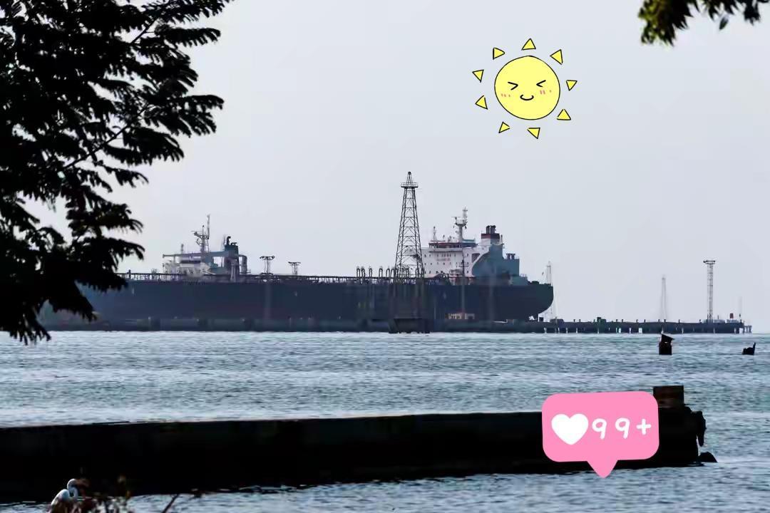 美国中央情报局传来新消息了！当地时间12月29日，多名知情人士透露，美国中央