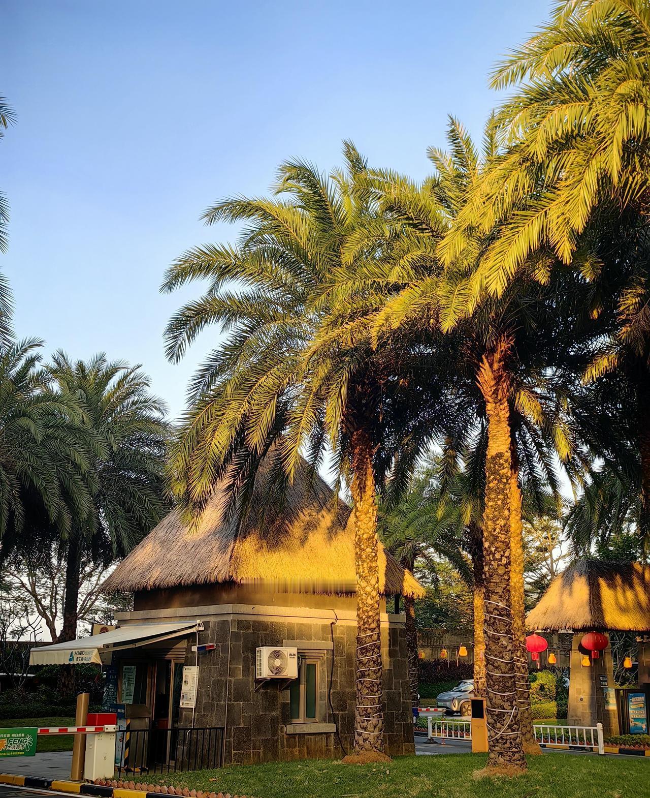 今天盘面释放出来6个信号，暗示明天会这样走。今天上证指数先抑后扬，收