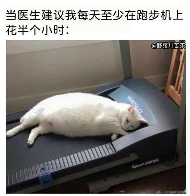 医生建议我每天在跑步机上半小时！