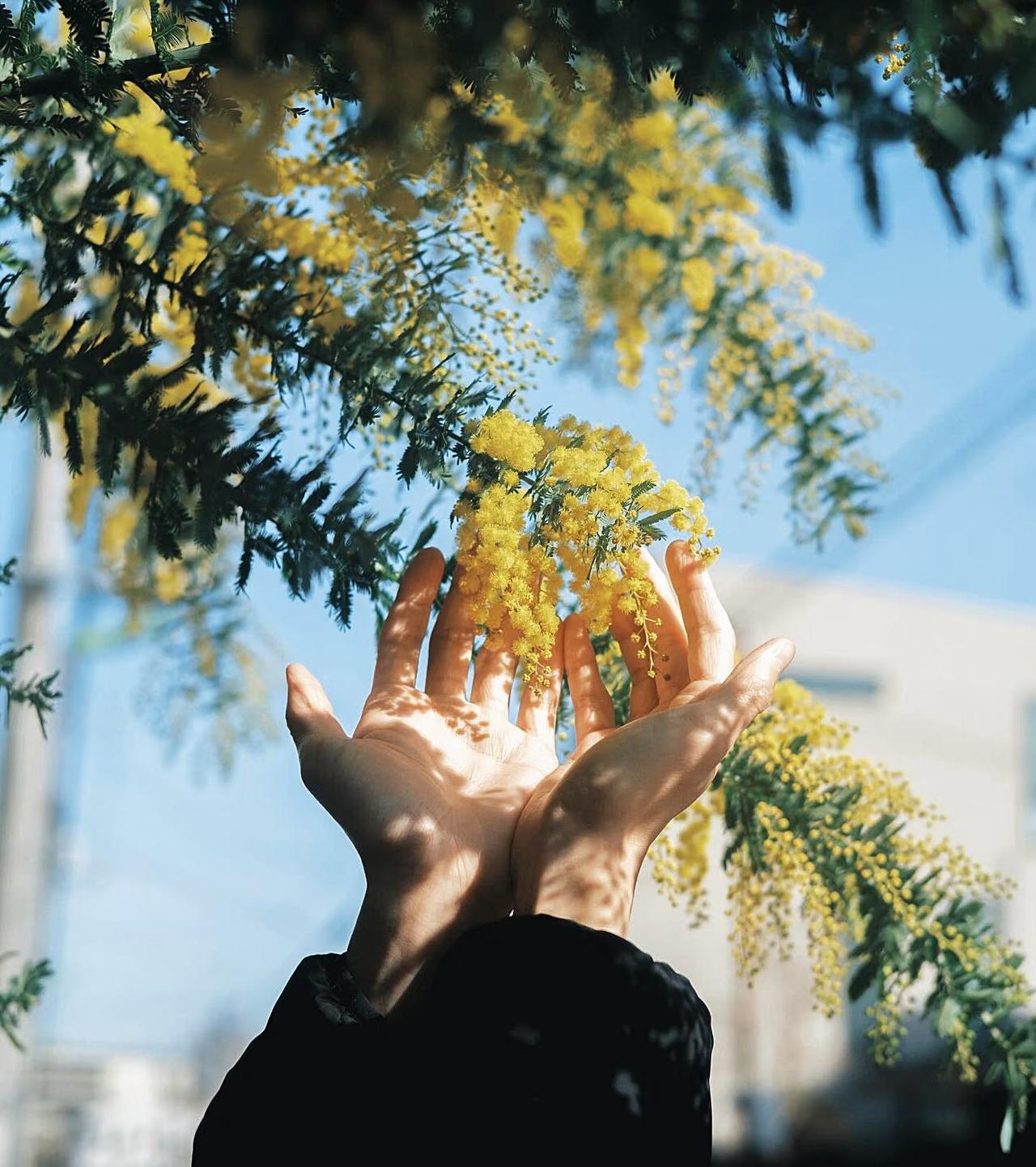 一个在养老院工作的朋友，说起收老人的事，让我挺意外的。她说，院里最“抢手”的其实