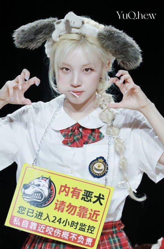 宋雨琦的狗塑走上了斗鸡赛道宋雨琦这新塑型绝了，本以为是软萌小狗，谁知测出斗鸡。