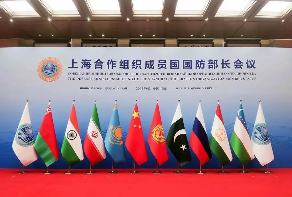 还在耍脾气！印度防长拒签联合声明，对5·7空战仍然耿耿于怀？6月25日至6月2