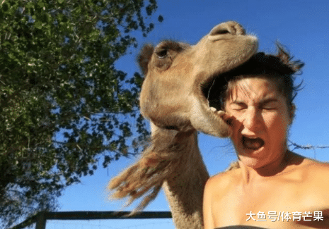 人要是倒霉起来, 真的拦都拦不住, 啊哈哈哈哈哈哈哈哈哈哈哈哈哈!