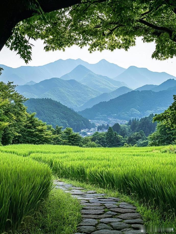 山野铺展青禾，风漫过人间烟火～寻美中国