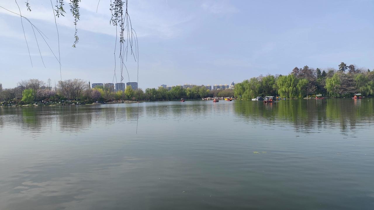 西安这座公园根本逛不完！4.5个紫禁城那么大，每次来都有新惊喜！周末本想随便去大