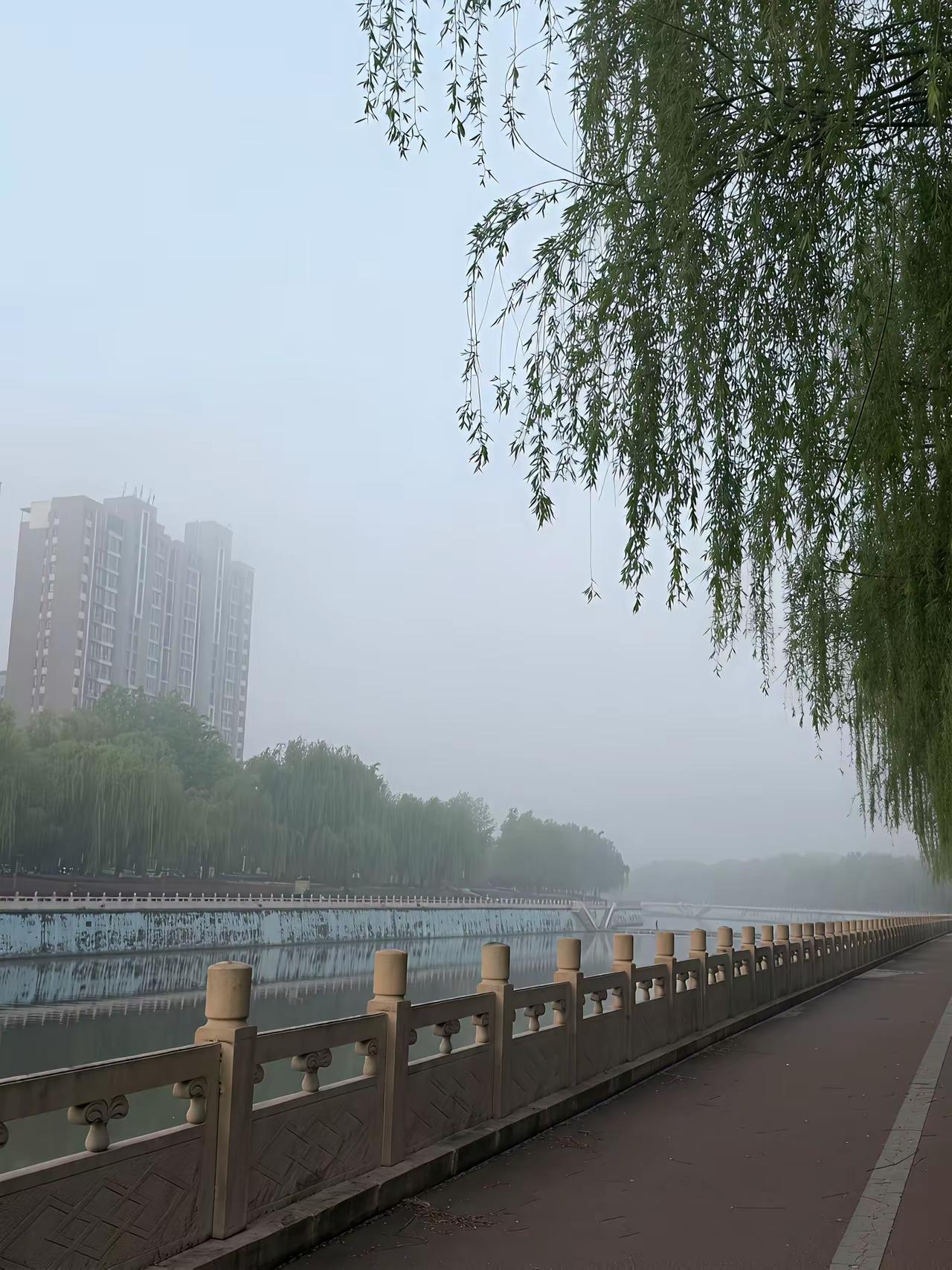 今日运势：丙午年壬辰月癸酉日2026.4.29日鼠：小吉注意口德形象牛