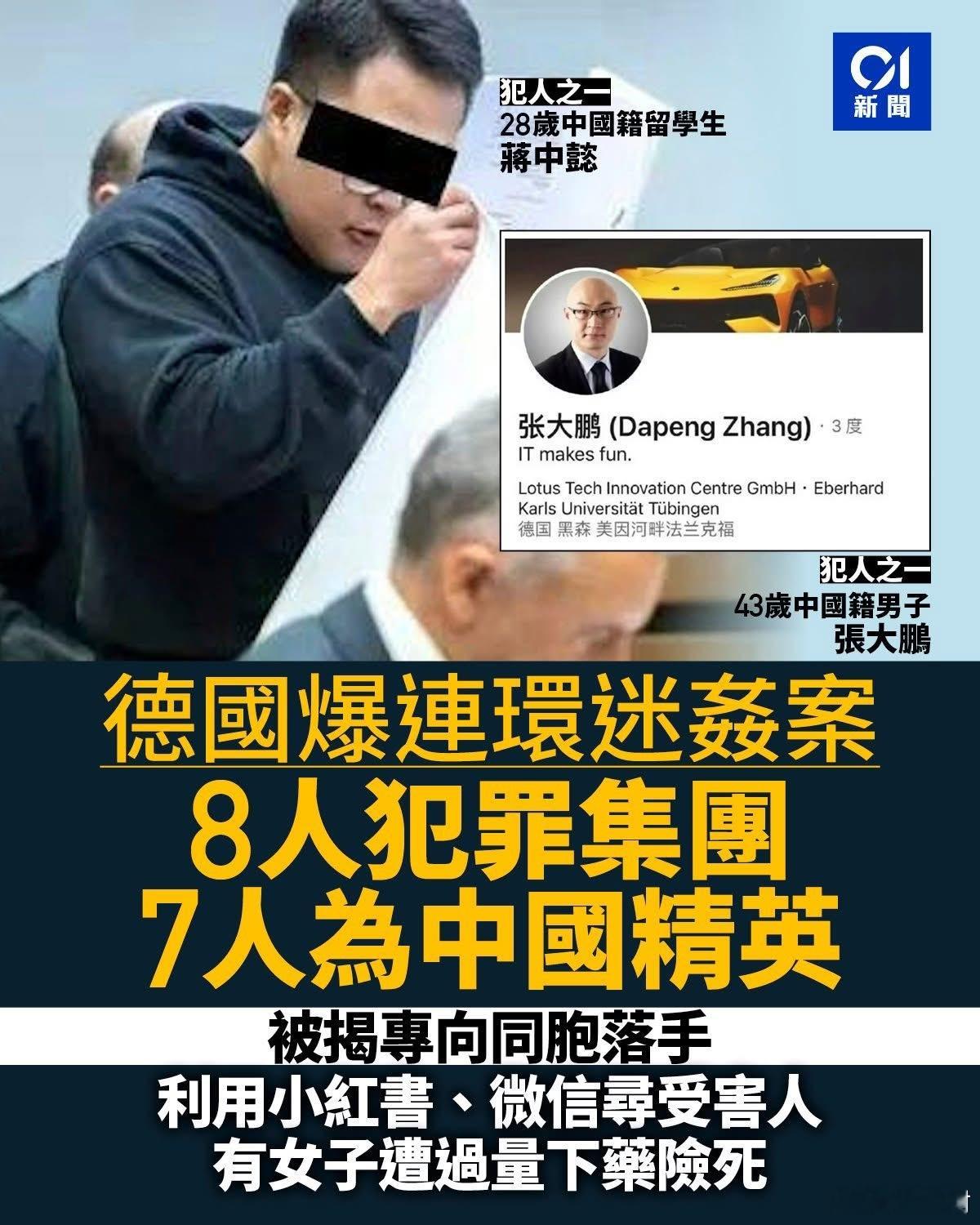 好学不学！什么精英，就是物以类聚的渣滓！德国性侵案主犯直播作案过程德国性侵案华人