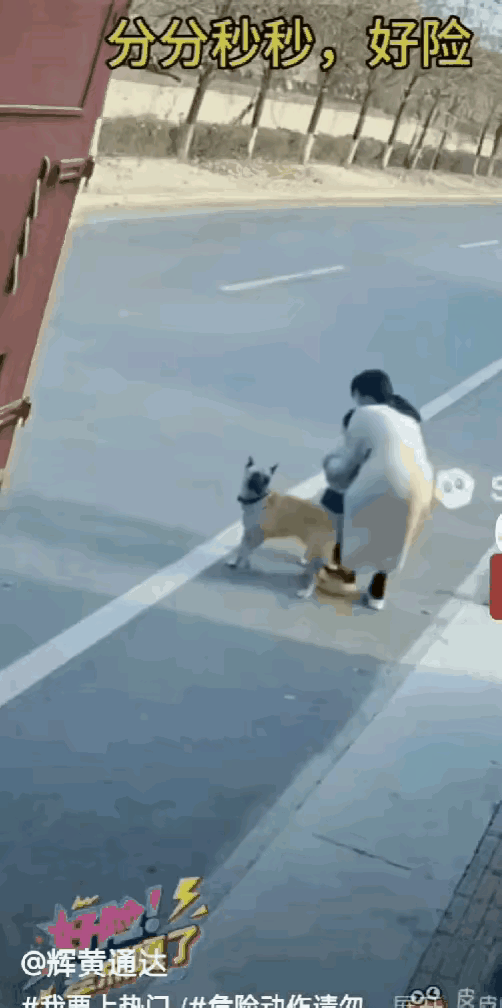 这个当妈的心也太大了，严格一点说，这是对孩子的生命安全不负责任，把这么点的孩子，