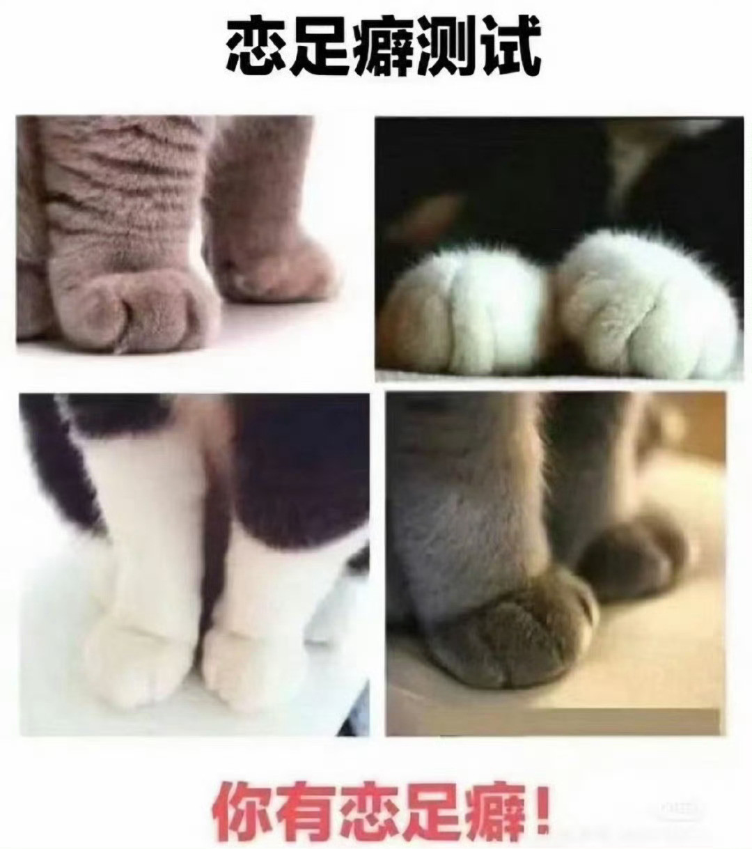 我摊牌了​​​