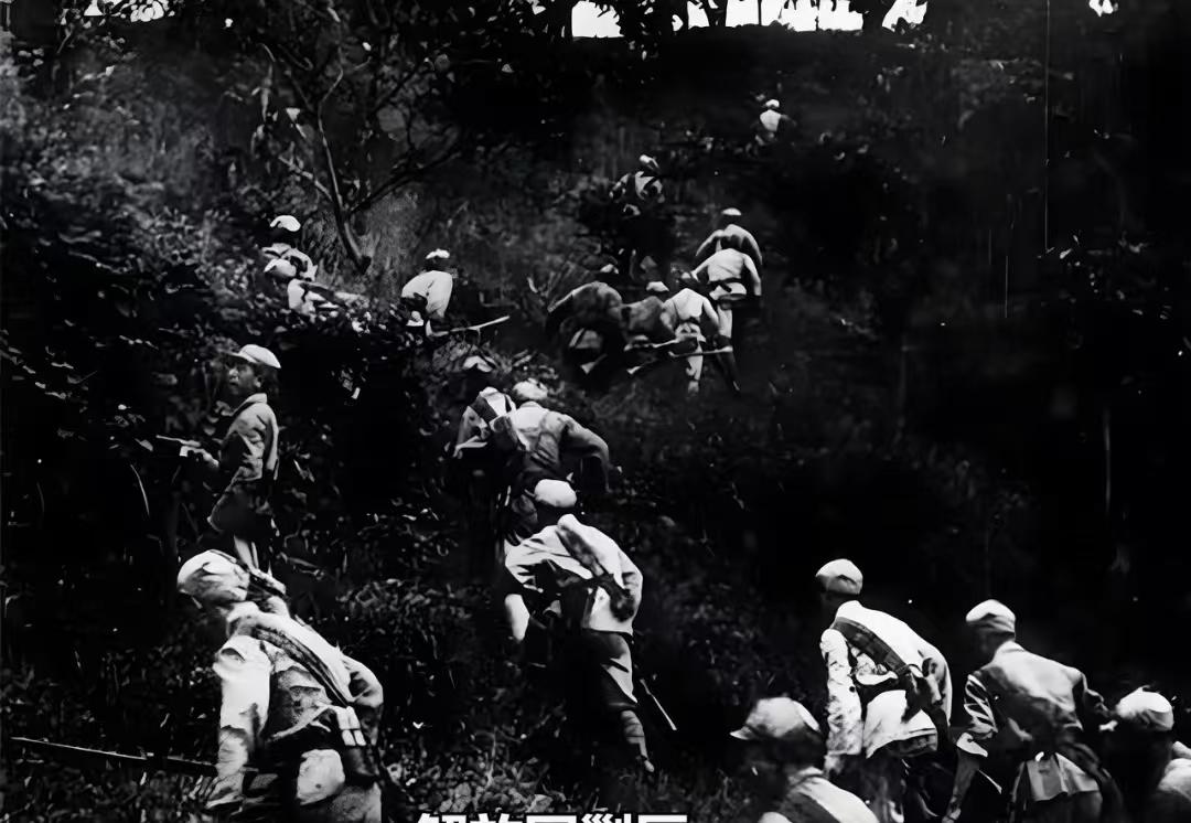 最后的土匪，国家管到石头缝里了，他怎么活到1965年的？1965年3月，湖南