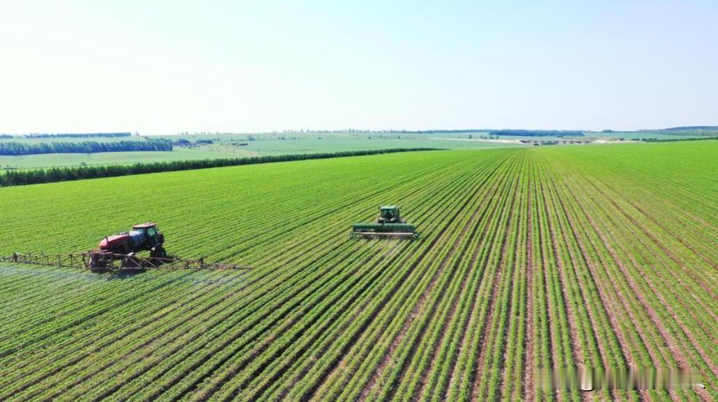 几百亿斤粮食说不要就不要了？数万名官兵和农民辛苦开垦半个世纪，能养活一亿人的中国