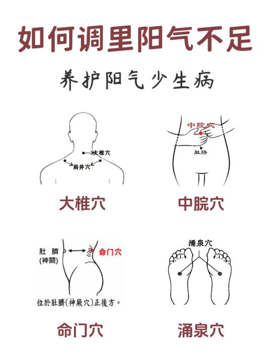 春季养阳秘籍公开❗码住这4个穴位