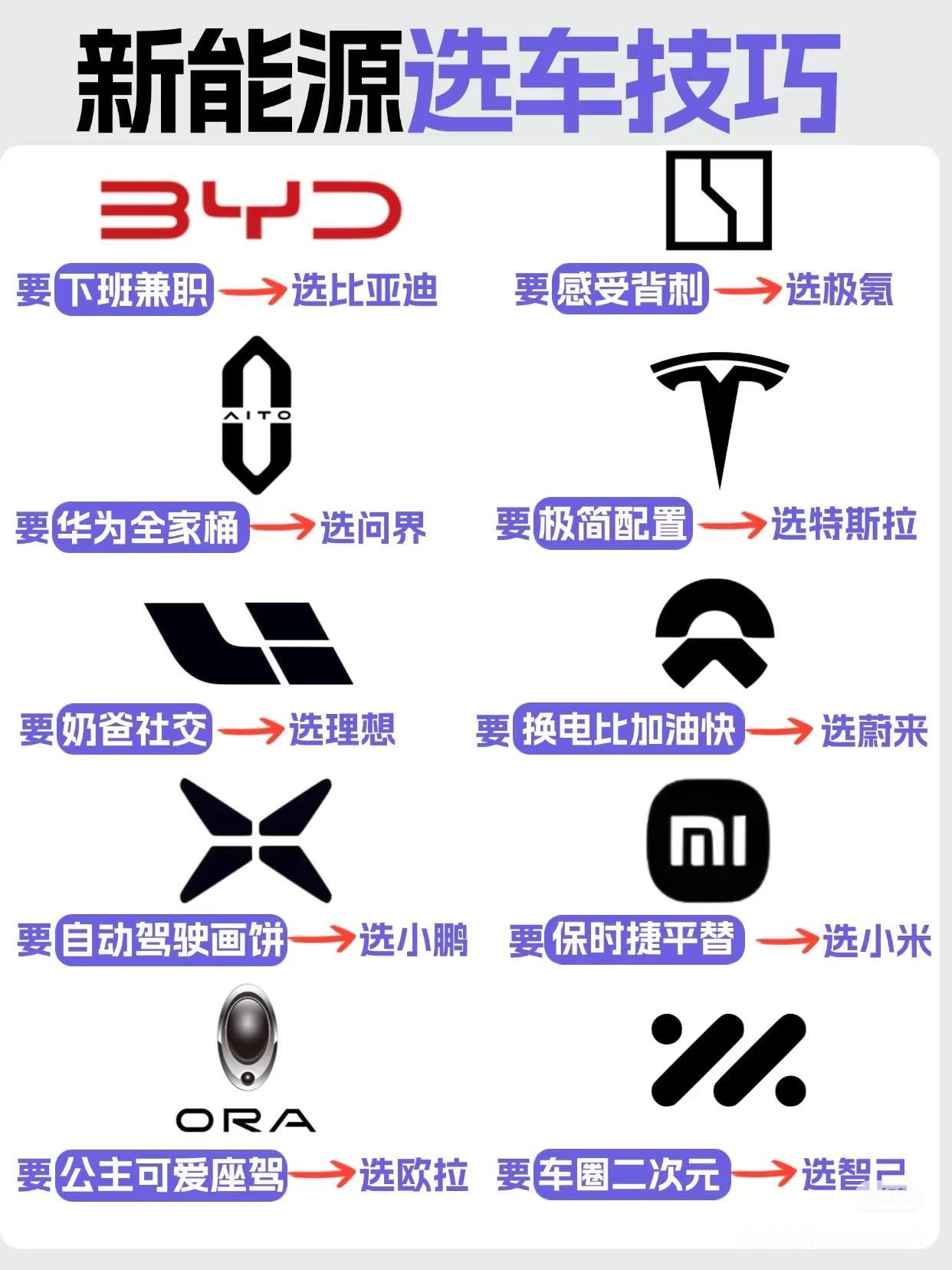 要自动驾驶画饼选小鹏？说实话小鹏的纯视觉表现还是很不错的，估计这个图做的时间也挺