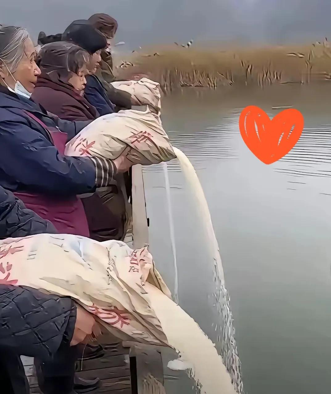 极端放生组织绝对是斜教组织。以前他们只是放生蛇、猫狗等动物，现在已进化到放生大米