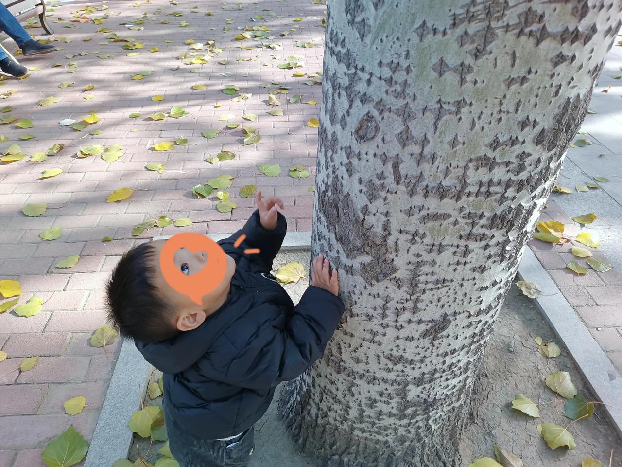 前两天刷到其他地方育儿补贴到账的消息，昨晚我问儿媳：“咱们家的育儿补贴到账了吗？