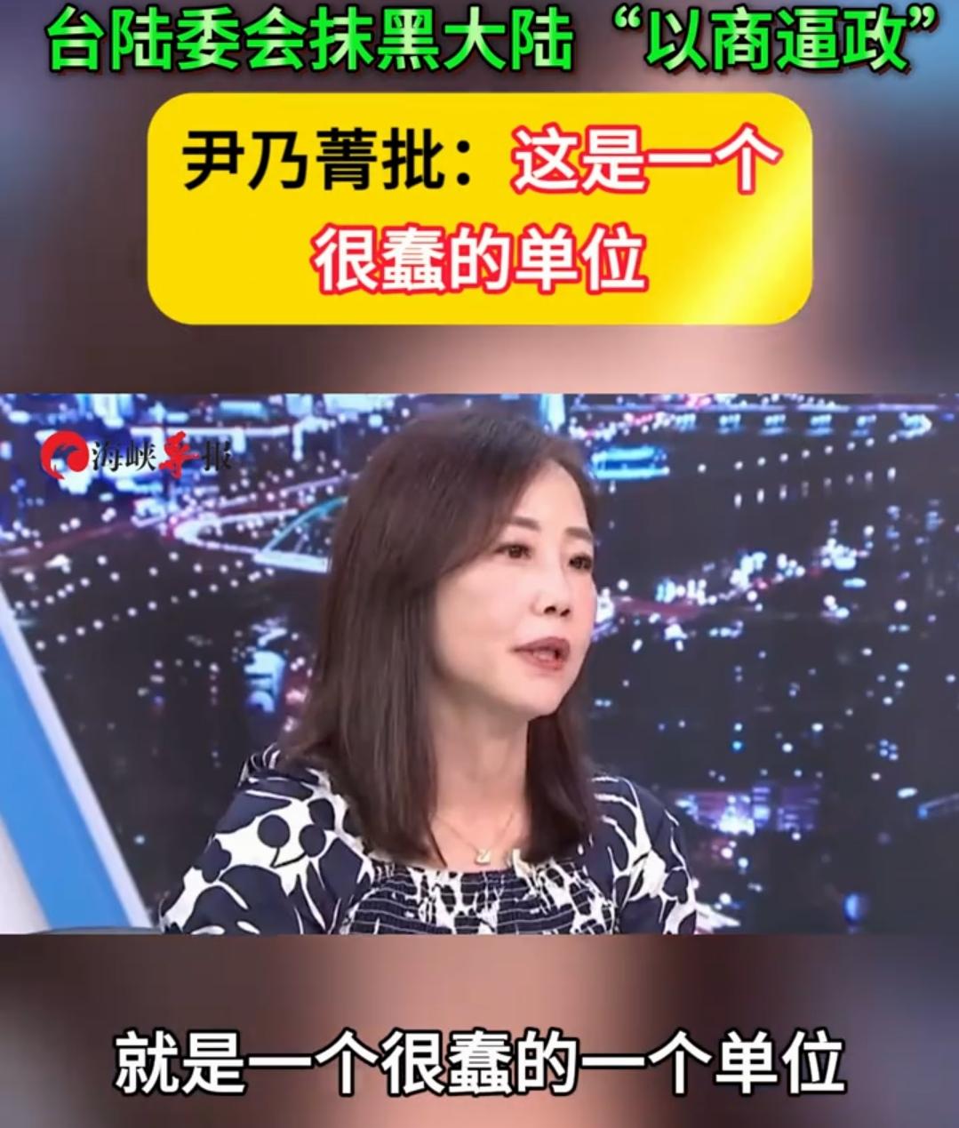 尹乃菁辞职首次发火！硬核开炮：陆委会又蠢又虚伪，只会耍嘴炮！盛
