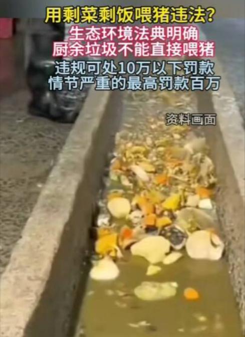 剩菜剩饭直接喂猪违法，说实话，这样的法规真是让人费解。你不知道他们是站在什么立场