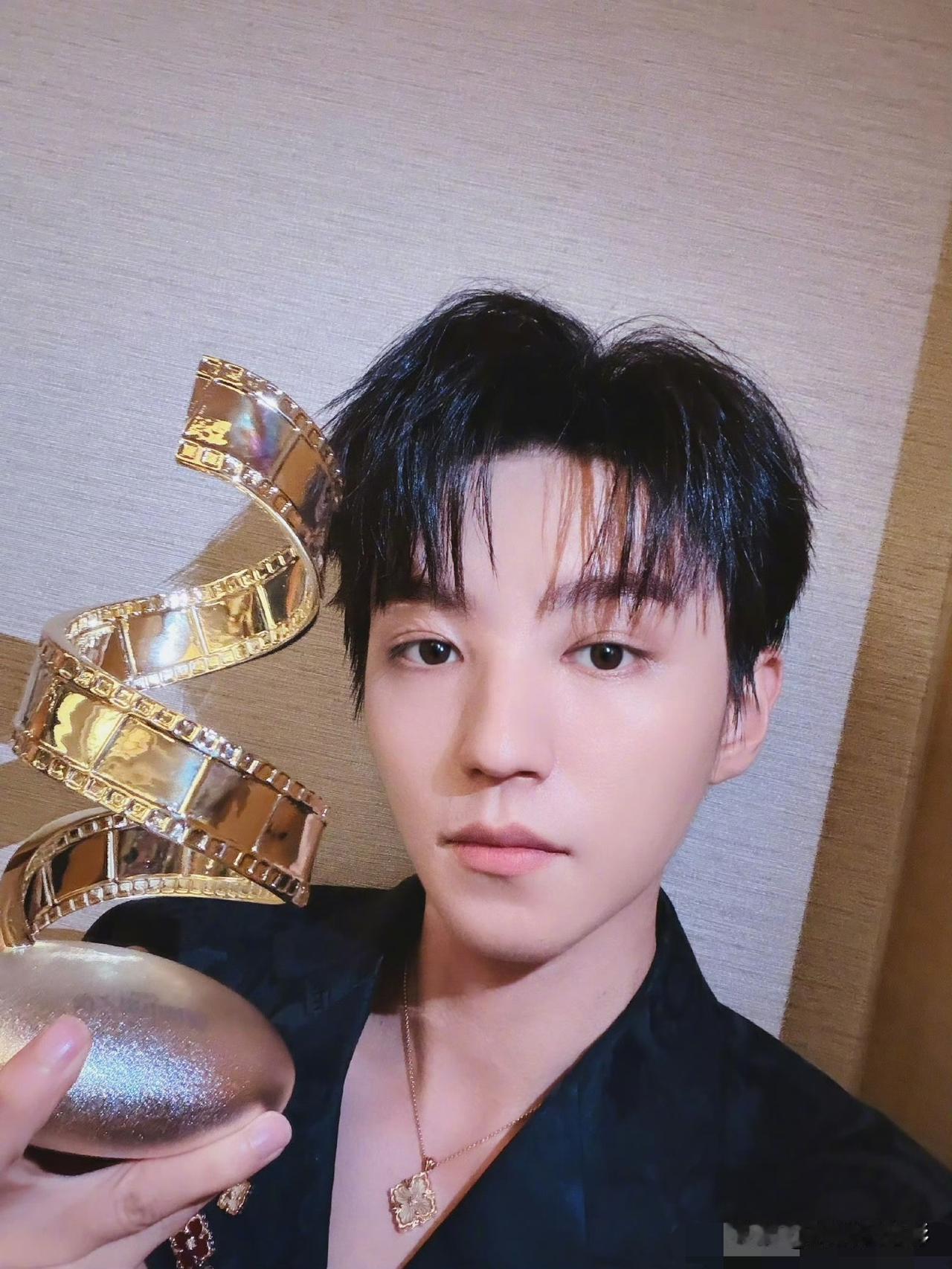 王俊凯斩获微博电影之夜“年度品质影人”，看似风光无限，实则更像是一场披着专业外衣