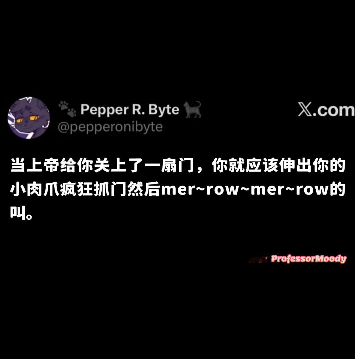 你或许是一只小猫meme