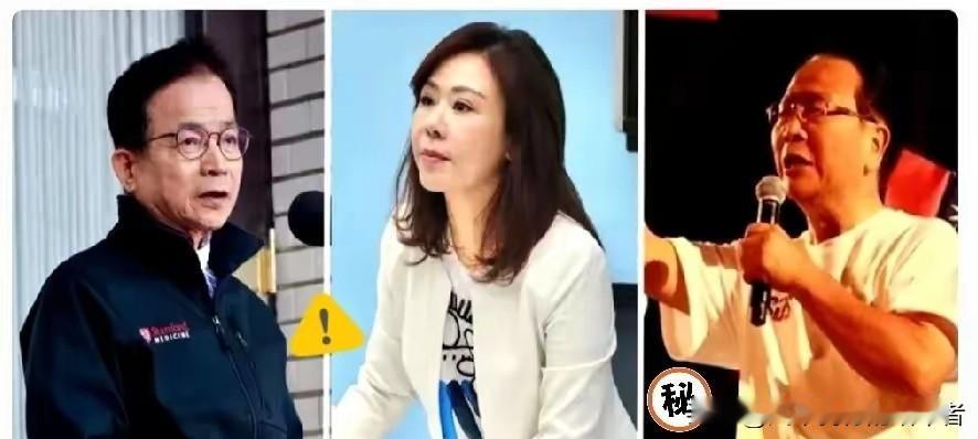 傅崐萁退出！国民党总召尴尬：老鸟掌控，新人被嘲，性别质疑不断！傅崐萁国民党