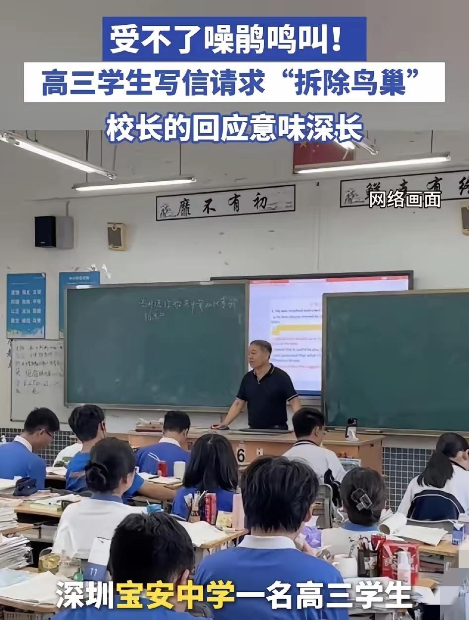 近日，深圳宝安中学一名高三的学生，因为忍受不了校园里的噪鹃整天的长啼鸣叫而写信给